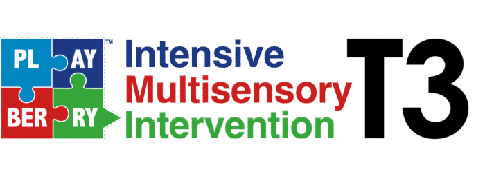 playBERRY LaserT3 logo