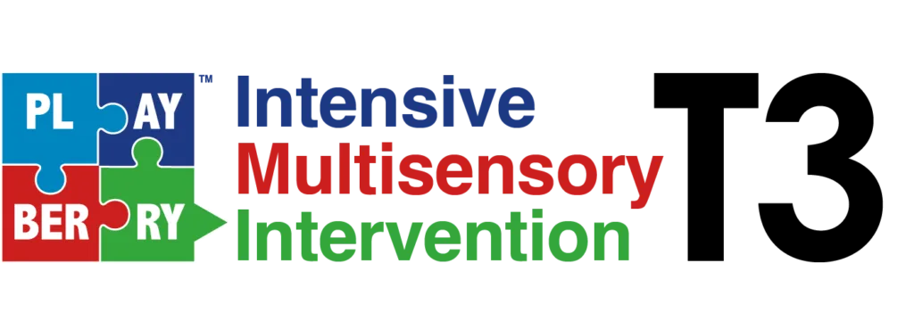 playBERRY LaserT3 logo