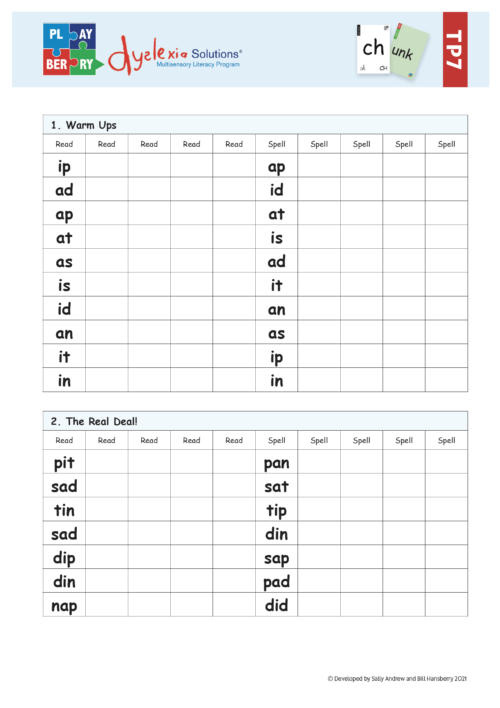 Playberry T3 Chunk Sheets - Image 5