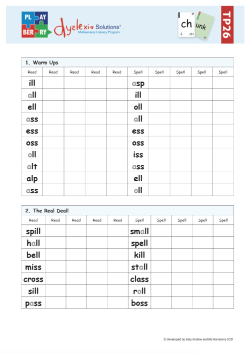 Playberry T3 Chunk Sheets - Image 4