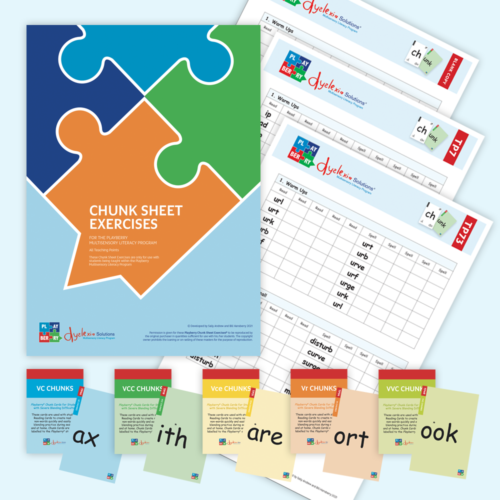 Playberry T3 Intensive Multisensory Intervention Chunk Cards and Chunk Sheet Bundle