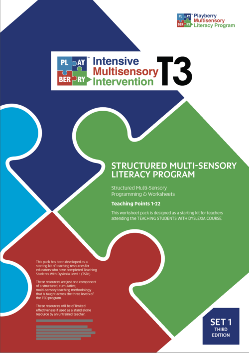 SECOND EDITION Playberry T3 Intensive Multisensory Intervention / Structured Multisensory Literacy Program (sets 1-4) - Image 2