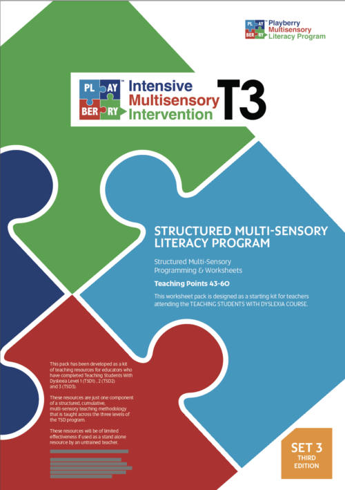 SECOND EDITION Playberry T3 Intensive Multisensory Intervention / Structured Multisensory Literacy Program (sets 1-4) - Image 3