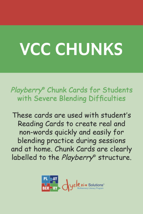 Playberry T3 Intensive Multisensory Intervention Chunk Cards - Image 4