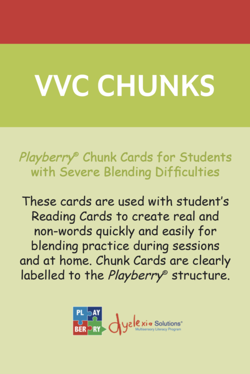 Playberry T3 Intensive Multisensory Intervention Chunk Cards - Image 7
