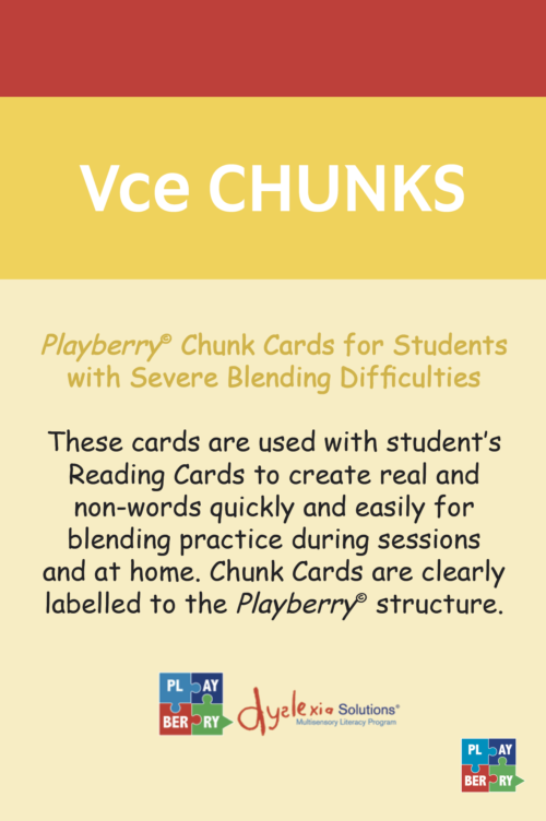 Playberry T3 Intensive Multisensory Intervention Chunk Cards - Image 5