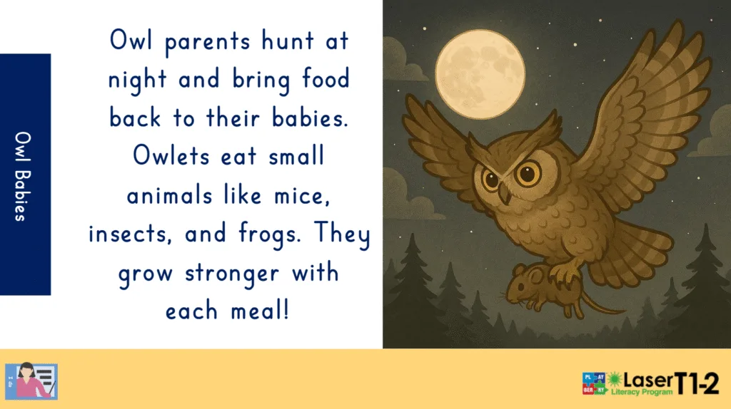 Screenshot 2025-10-08 142740