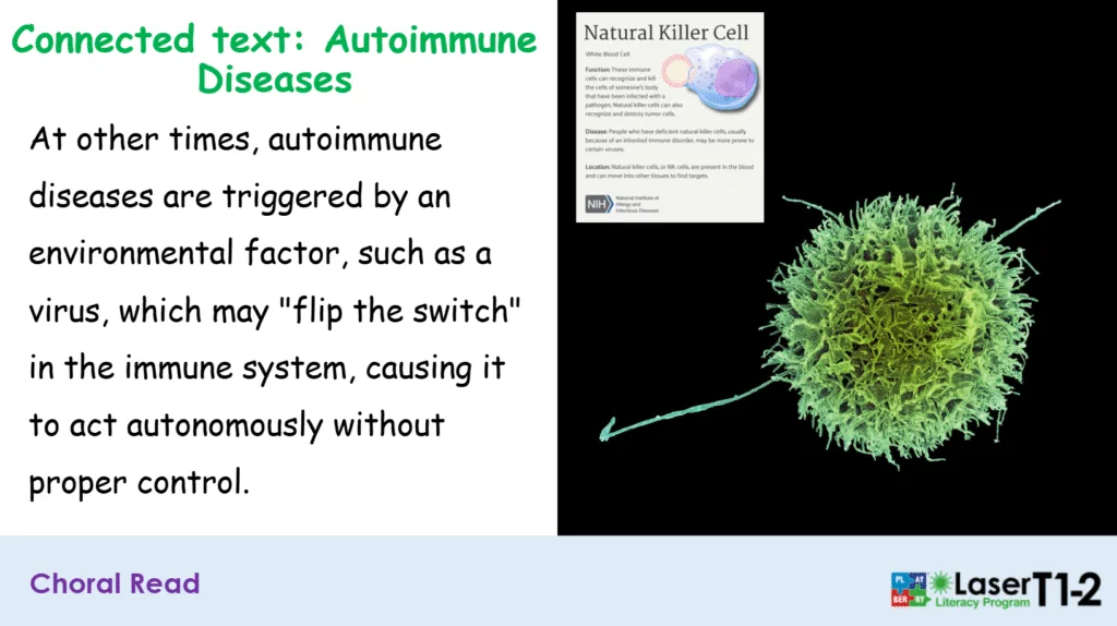 Screenshot 2025-10-08 150647