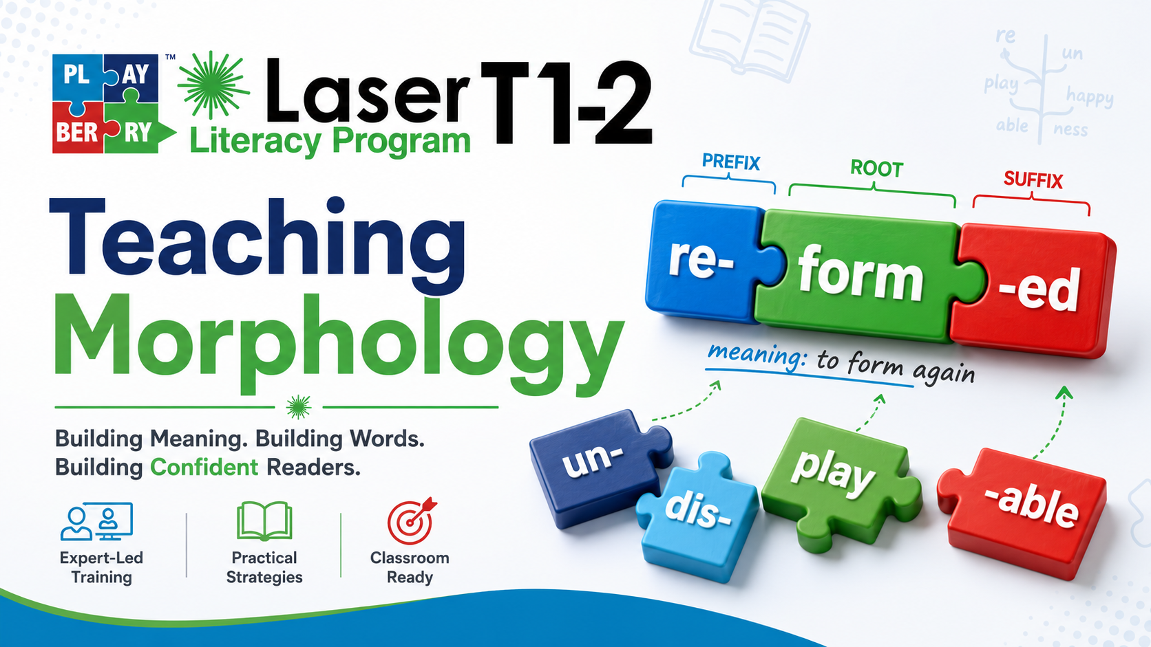 Playberry Laser Morphology